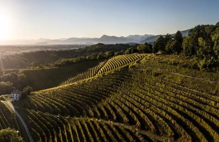 Oasi Picolit 3* Povoletto