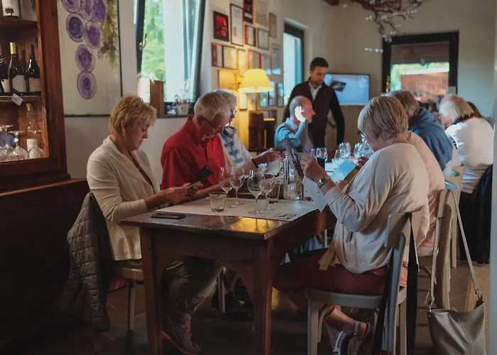 Panzió Oasi Picolit