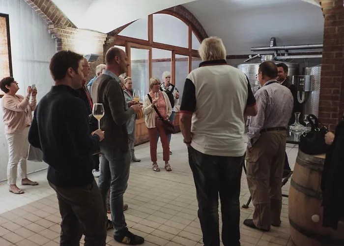 Panzió Oasi Picolit 3*